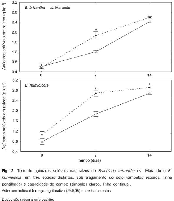 Respostas Morfofisiológicas de spp. ao Alagamento do Solo e a Síndrome da Morte do Capim-marandu Brachiaria - Image 3