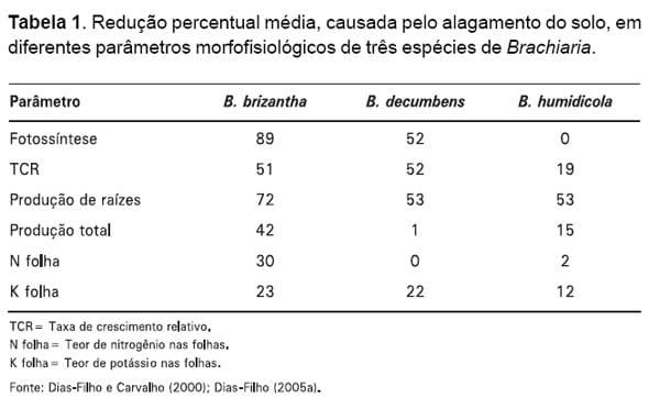Respostas Morfofisiológicas de spp. ao Alagamento do Solo e a Síndrome da Morte do Capim-marandu Brachiaria - Image 2