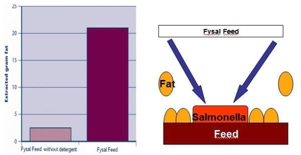 Controle de Salmonela em Unidades de Beneficiamento de Insumos Agrícolas - Image 5
