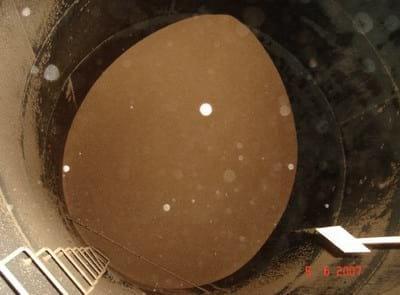 Controle de Salmonela em Unidades de Beneficiamento de Insumos Agrícolas - Image 8