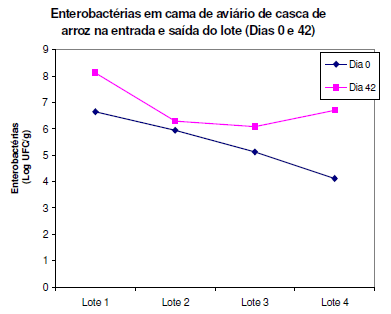 Avaliação de sistemas de ventilação (fixo e oscilante) e materiais de cama (casca de arroz e palhada de soja) na produção de frangos de corte - Image 19