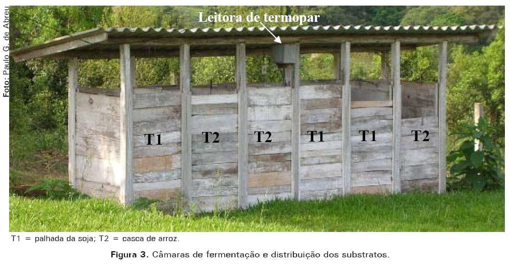 Casca de arroz e palhada da soja como substrato para compostagem de carcaças de frangos de corte - Image 4