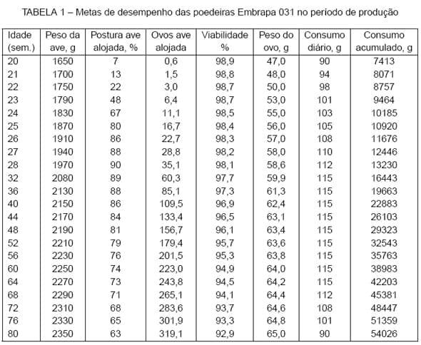 Produção de ovos das poedeiras de ovos castanhos - Image 1