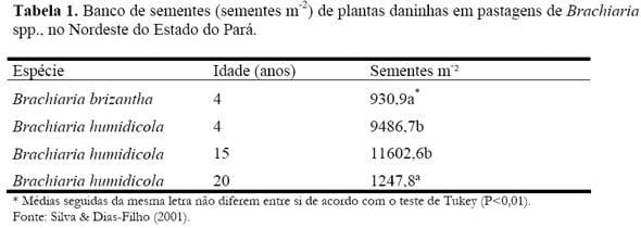 Competição e Sucessão Vegetal em Pastagens - Image 3