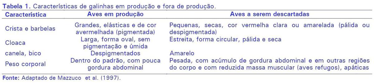 Identificação e descarte de poedeiras improdutivas - Image 1