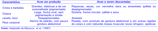 Identificação e descarte de poedeiras improdutivas - Image 1