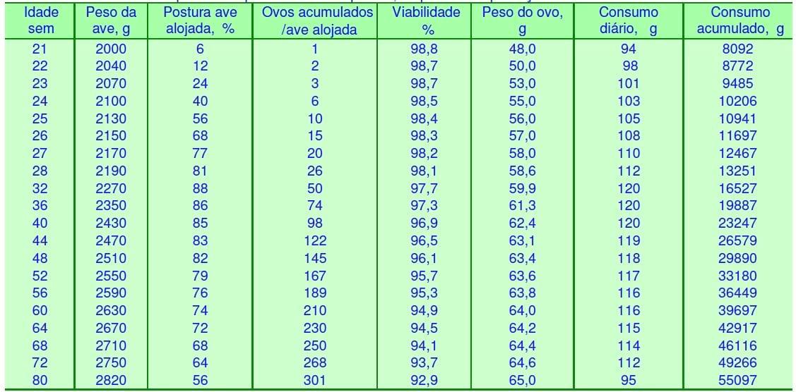 Sistema para produção de ovos com a poedeira EMBRAPA 051 - Image 5