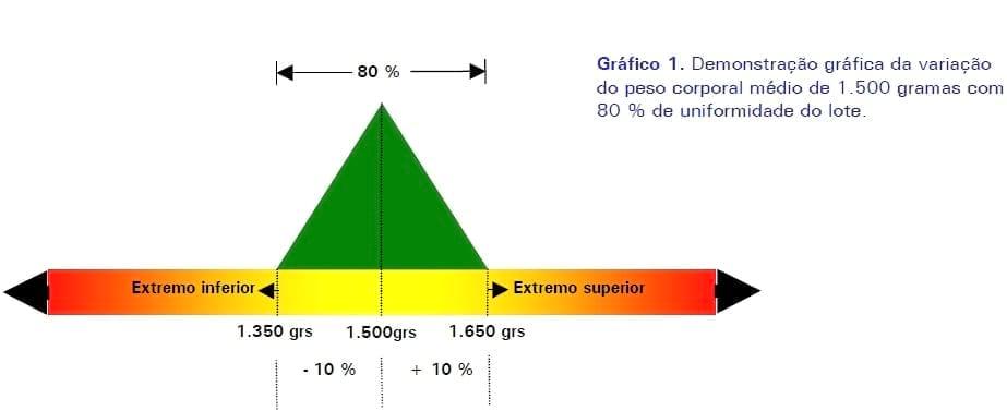 Método para avaliar a uniformidade nas fases de cria e recria em lotes de frangas para produção de ovos - Image 3