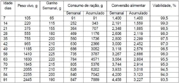 Criação dos frangos de corte coloniais (EMBRAPA 041) - Image 2