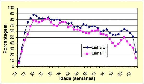 Análise da reprodução em duas linhas genéticas de galinhas de tipo Campero-INTA - Image 1