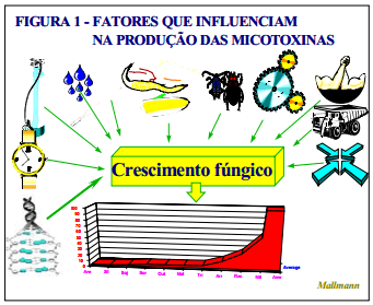 Critérios para seleção de um bom sequestrante para micotoxinas. - Image 1
