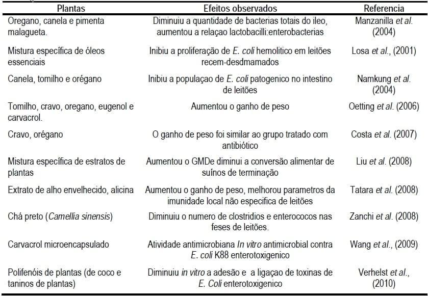 Uso de extratos de plantas e acidificantes para suínos, o que diz a ciência e a prática atual? - Image 7