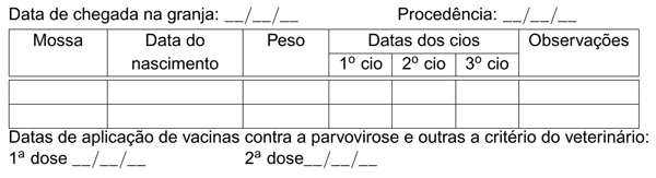 Cuidados com a leitoa de reposição - Image 1