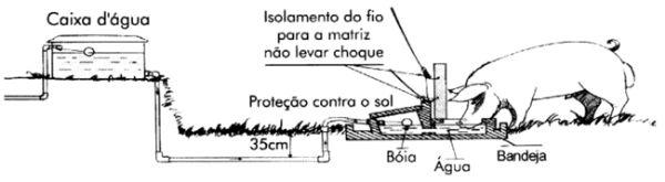 Sistema intensivo de suínos criados ao ar livre — SISCAL: Recomendações para instalação e manejo de bebedouros - Image 1