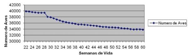 Novos casos da doença de Marek na Argentina. Estudos preliminares - Image 1