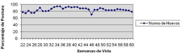 Novos casos da doença de Marek na Argentina. Estudos preliminares - Image 2