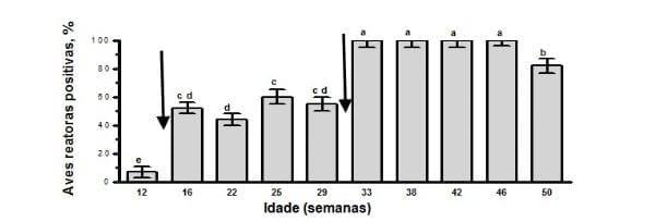 Evidência sorológica, em Cuba, da circulação de Ornitobacterium rhinotracheale em galinhas poedeiras com síndrome respiratória crônica - Image 3