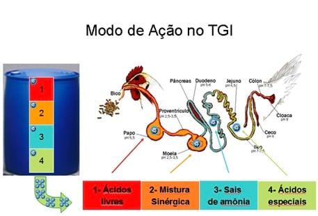 Controle de Salmonella em Integradoras - Image 10