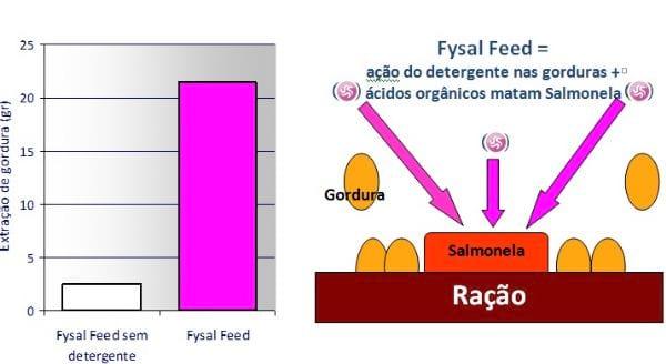 Controle de Salmonella em Integradoras - Image 6