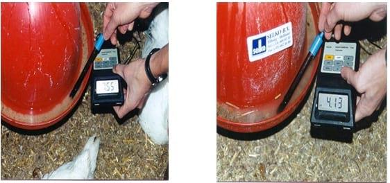 Controle de Salmonella em Integradoras - Image 25