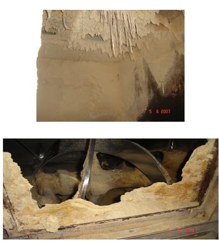 Controle de Salmonella em Integradoras - Image 17
