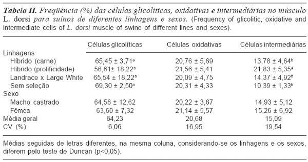 CARACTERÍSTICAS DAS FIBRAS MUSCULARES DO L. DORSI E QUALIDADE DA CARNE DE SUÍNOS DE QUATRO LINHAGENS - Image 2