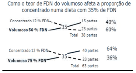 Por que a qualidade da forrageira é fundamental na dieta da vaca leiteira? - Image 8