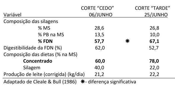 Por que a qualidade da forrageira é fundamental na dieta da vaca leiteira? - Image 13