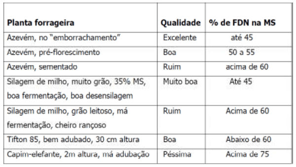 Por que a qualidade da forrageira é fundamental na dieta da vaca leiteira? - Image 3