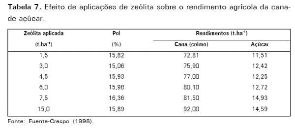 Potencial de uso de zeólitas na agropecuária - Image 11