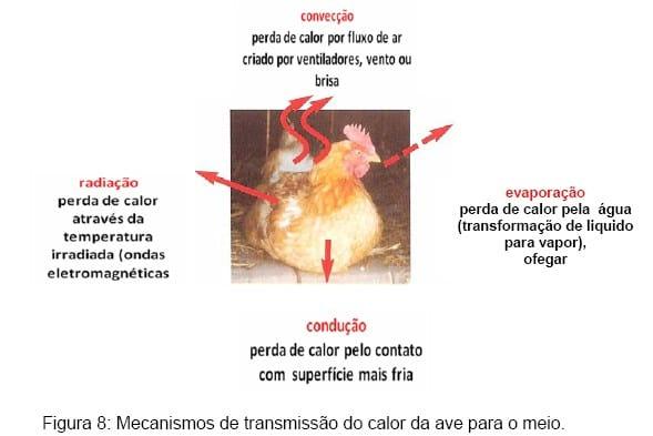 Bem-estar no manejo pré-abate das aves - Image 11