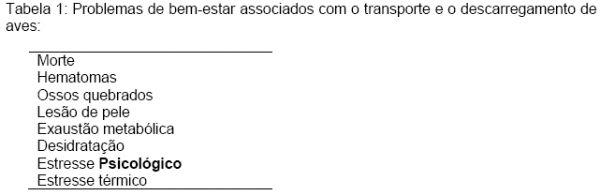 Bem-estar no manejo pré-abate das aves - Image 1