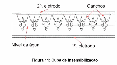 Bem-estar no manejo pré-abate das aves - Image 14