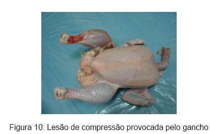 Bem-estar no manejo pré-abate das aves - Image 13