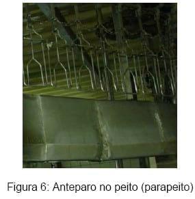 Bem-estar no manejo pré-abate das aves - Image 8