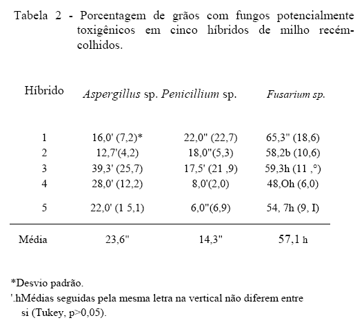 Classificação macroscópica, identificação da microbiota fúngica e produção de aflatoxinas em híbridos de milho - Image 2