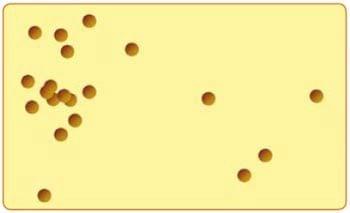 Amostragem para micotoxinas – nos importamos o suficiente? - Image 2
