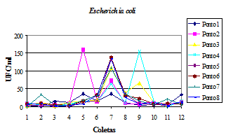 IMPACTO MICROBIOLÓGICO NA QUALIDADE DA ÁGUA DE UMA MICROBACIA CARACTERIZADA PELO USO DOS RESÍDUOS ANIMAIS COMO FERTILIZANTE - Image 3