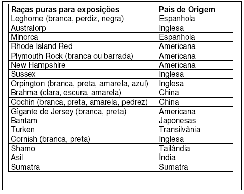 Raças e Linhagens de Galinhas para Criações Comerciais e Alternativas no Brasil - Image 2
