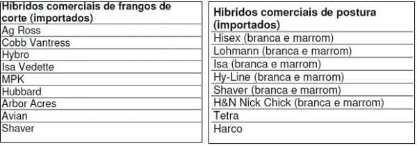 Raças e Linhagens de Galinhas para Criações Comerciais e Alternativas no Brasil - Image 3