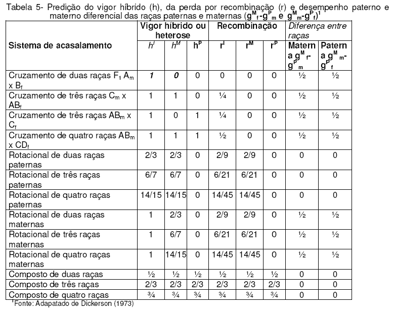 Como Melhorar a Raça das Galinhas em Pequenas Criações - Image 6
