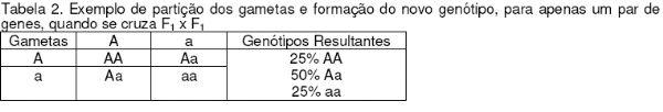 Como Melhorar a Raça das Galinhas em Pequenas Criações - Image 2