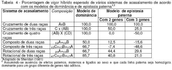 Como Melhorar a Raça das Galinhas em Pequenas Criações - Image 5