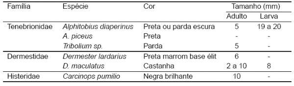 Controle de moscas e cascudinhos: desafios na produção agrícola. - Image 1