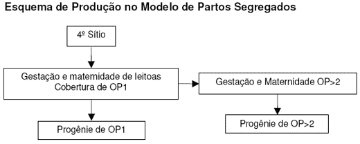 Logística na produção de suínos: ameaça ou oportunidade? - Image 3
