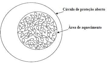 Comportamento de frangos de corte em sistemas de aquecimento - Image 4