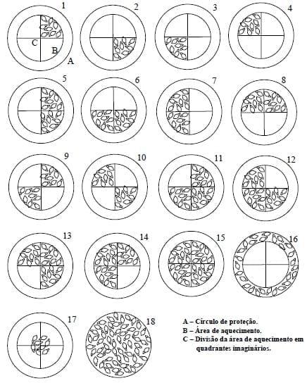 Comportamento de frangos de corte em sistemas de aquecimento - Image 2