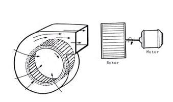 Ventiladores na Produção de Aves - Image 1