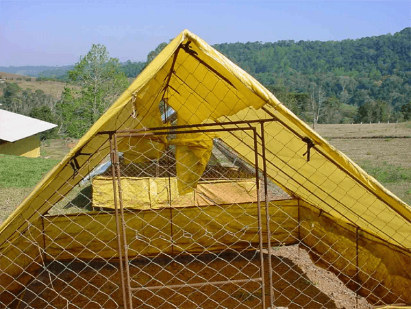 Cobertura de Abrigos de Aves Coloniais com Material Isolante Alternativo e Reciclável - Image 2