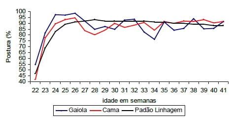 Impactos do bem-estar na produção de ovos - Image 8